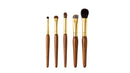 Eye makeup 5pcs Brushes Set (Quince) (Camellia)