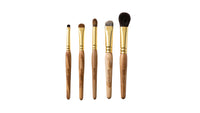 Eye makeup 5pcs Brushes Set (Olive) (Plum Blossom)