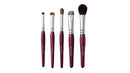 Eye makeup 5pcs Brushes Set (Purpleheart)  (Plum Blossom)