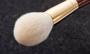 Powder Brush