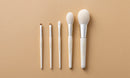 Set di pennelli ALBA 5 pezzi